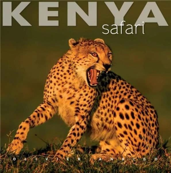 Kenya : safari