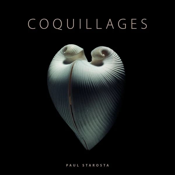 Coquillages : collection Jacques et Rita Senders