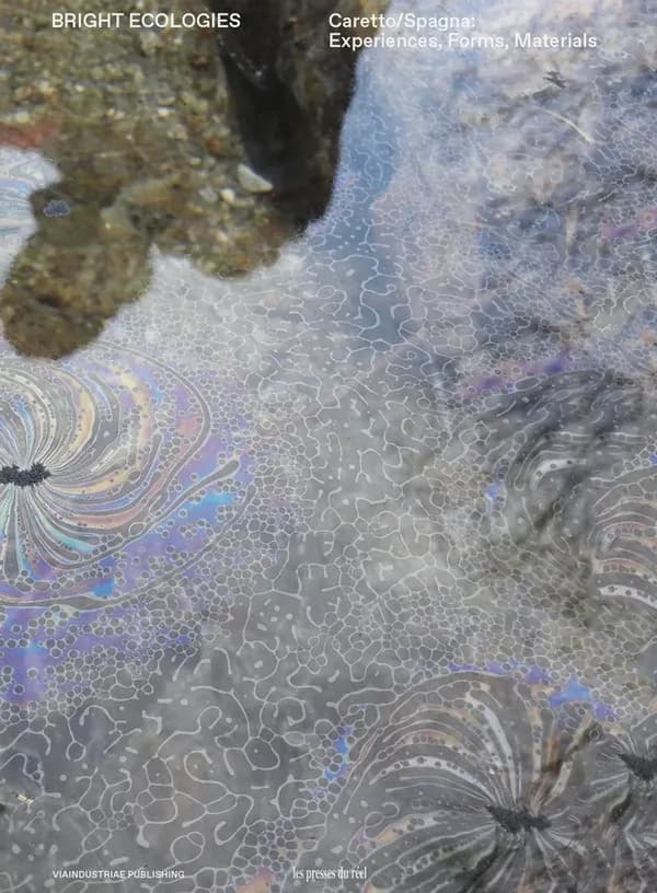 Bright ecologies : experiences, forms, materials