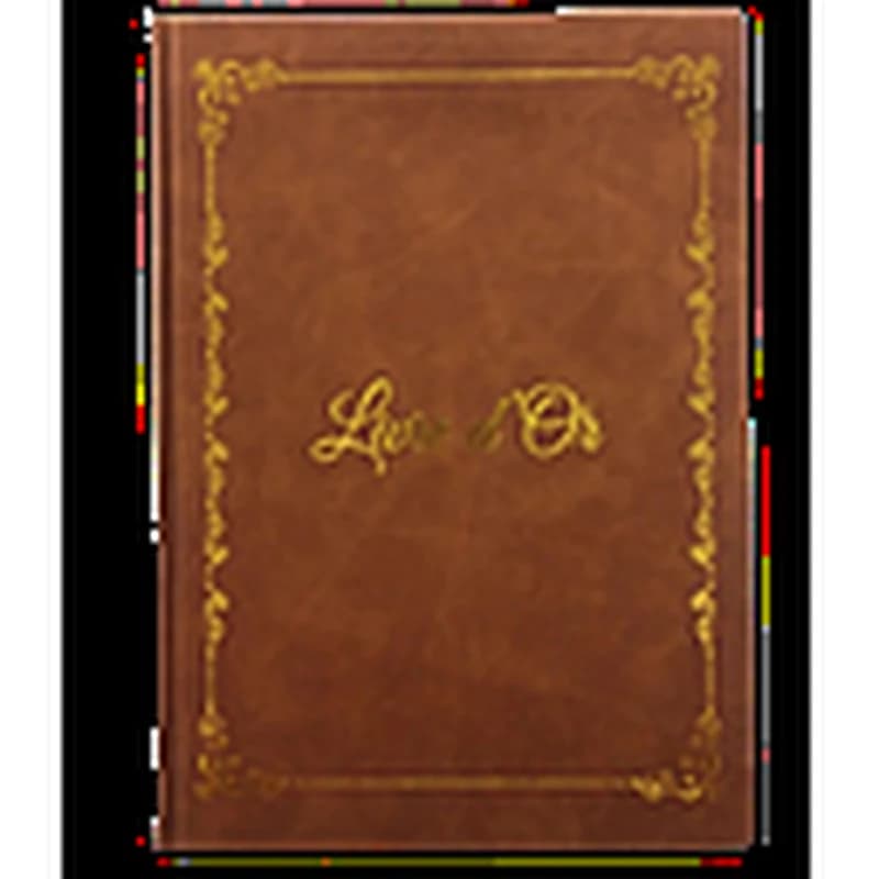 LIVRE d’Or 210 x 290  (2Couleurs)