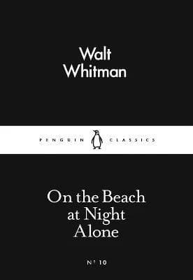Alone on the Beach at Night