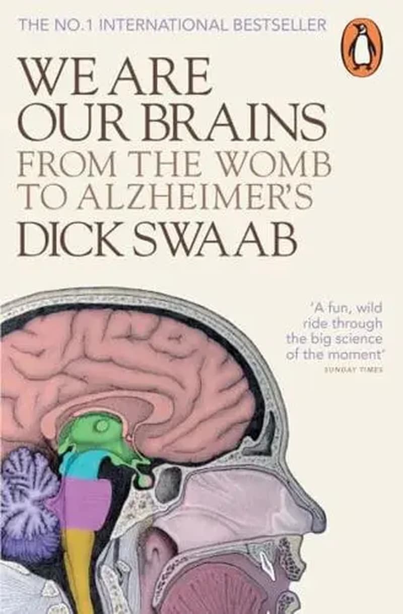 WE ARE OUR BRAINS : FROM THE WOMB TO ALZHEIMER'S