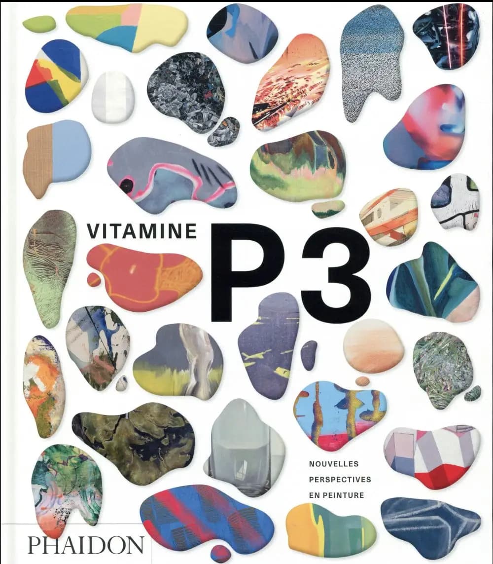 Vitamine P : nouvelles perspectives en peinture. 3 (Éd. française) [introduction de Barry Schwabsky] ; [traduit de l'anglais par Marie-Line Hillairet, Alice Perrin et Gilles Seinturier]