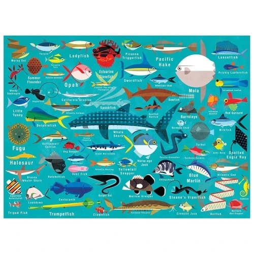 OCEAN LIFE