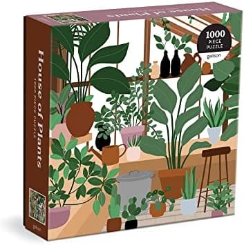 HOUSE OF PLANTS