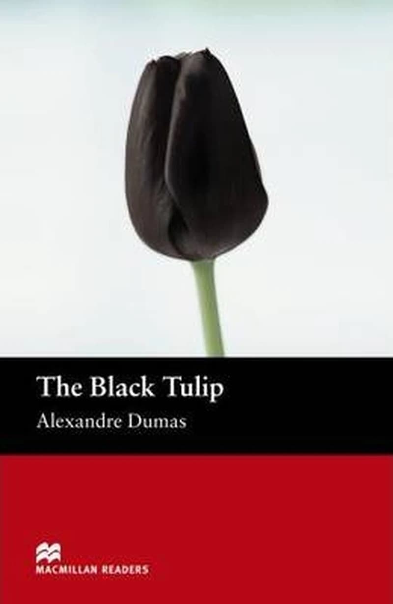 MR  Black Tulip, The