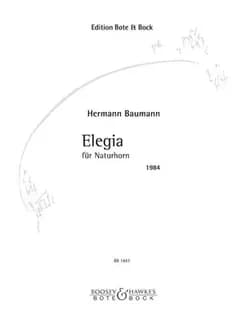 Elegie for natural horn