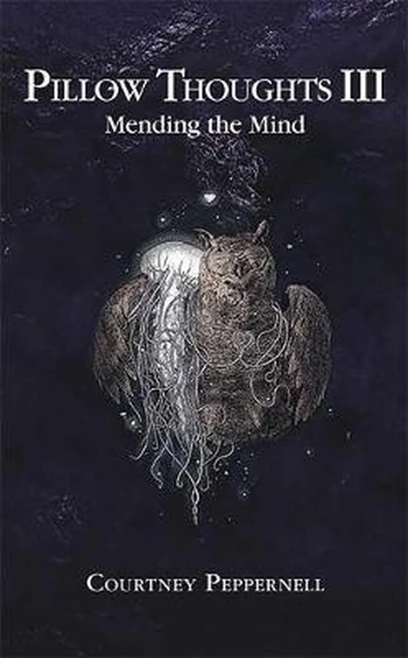 Pillow Thoughts III : Mending the Mind