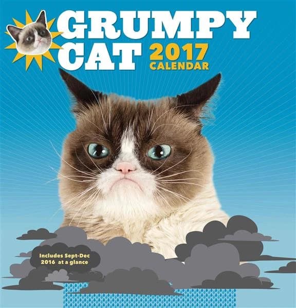 Grumpy Cat