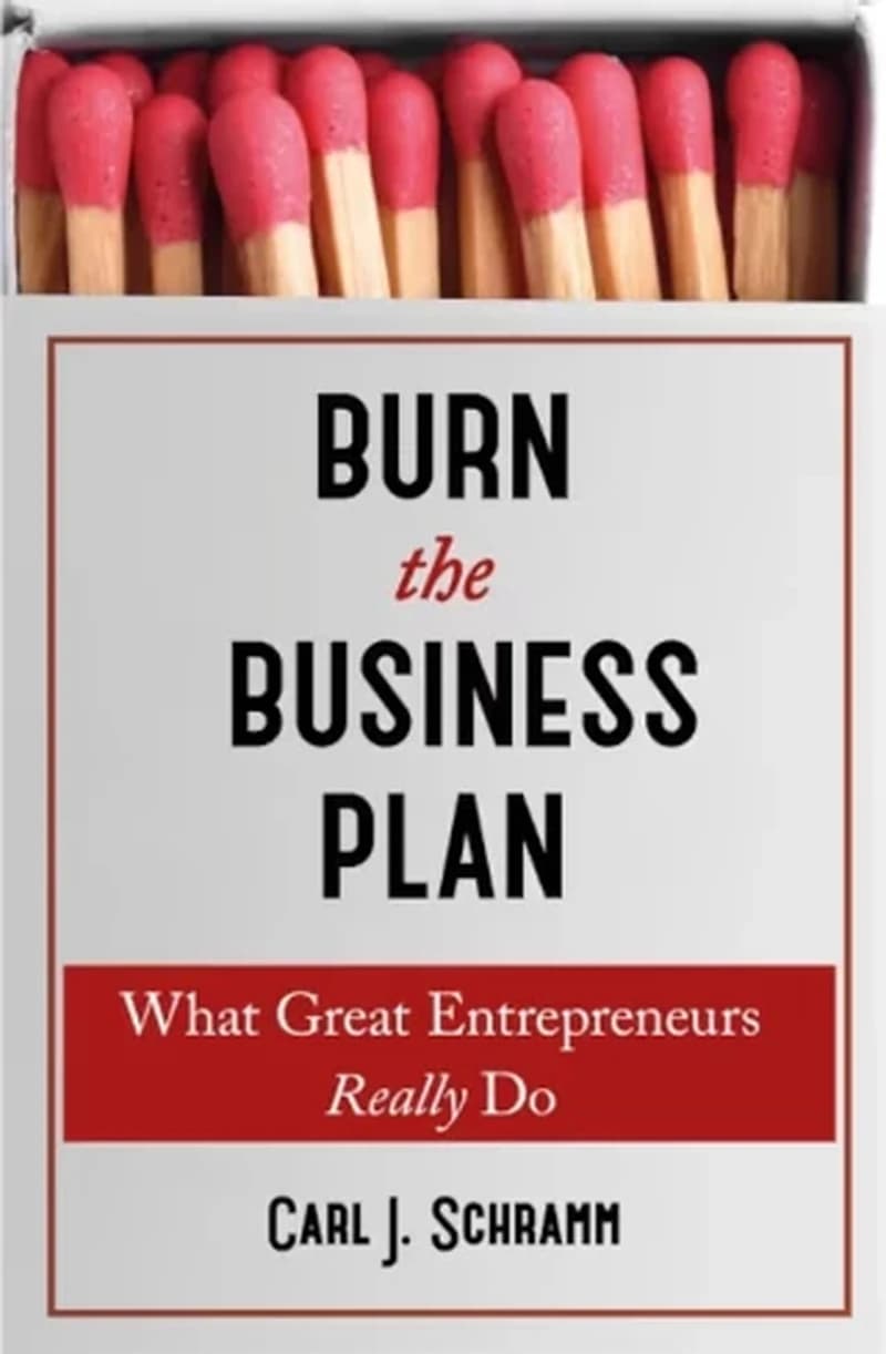 BUM THE BUSINESS PLAN
