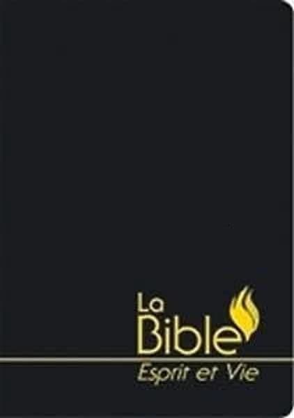 Bible esprit et vie segond 1910 vinyle noir