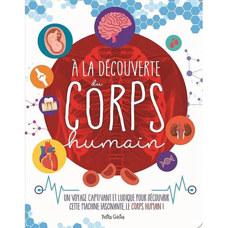 à la découverte du corps humain