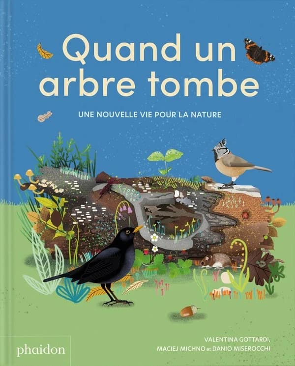 Quand un arbre tombe : une nouvelle vie pour la nature