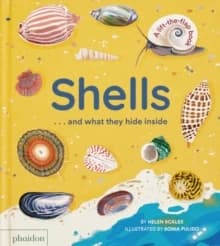Shells... and what they hide inside