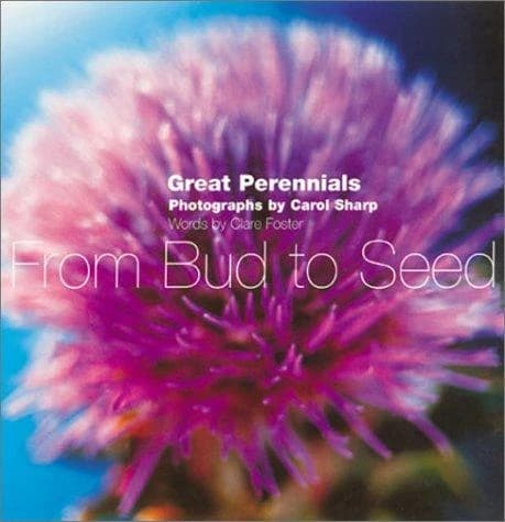 Great perennials : from bud to seed