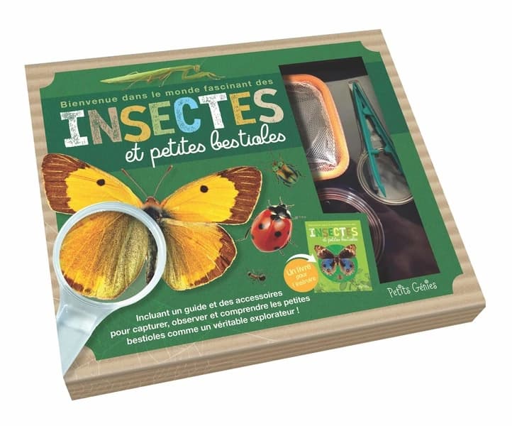 Bienvenue dans le monde fascinant des insectes et petites bestioles