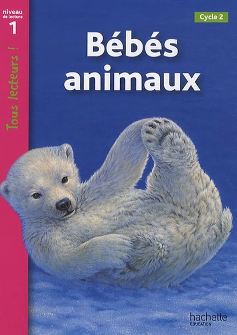 Bébés animaux : [cycle 2]