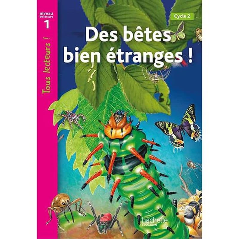Drôles de petites bêtes ! : [cycle 2]