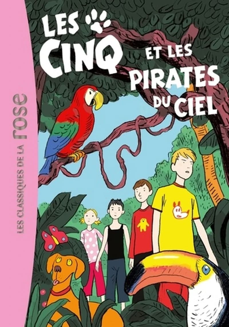 Les cinq et les pirates du ciel : une nouvelle aventure des personnages créés par Enid Blyton