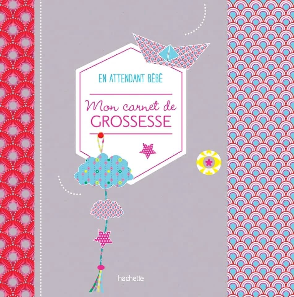 Mon carnet de grossesse ; en attendant bébé