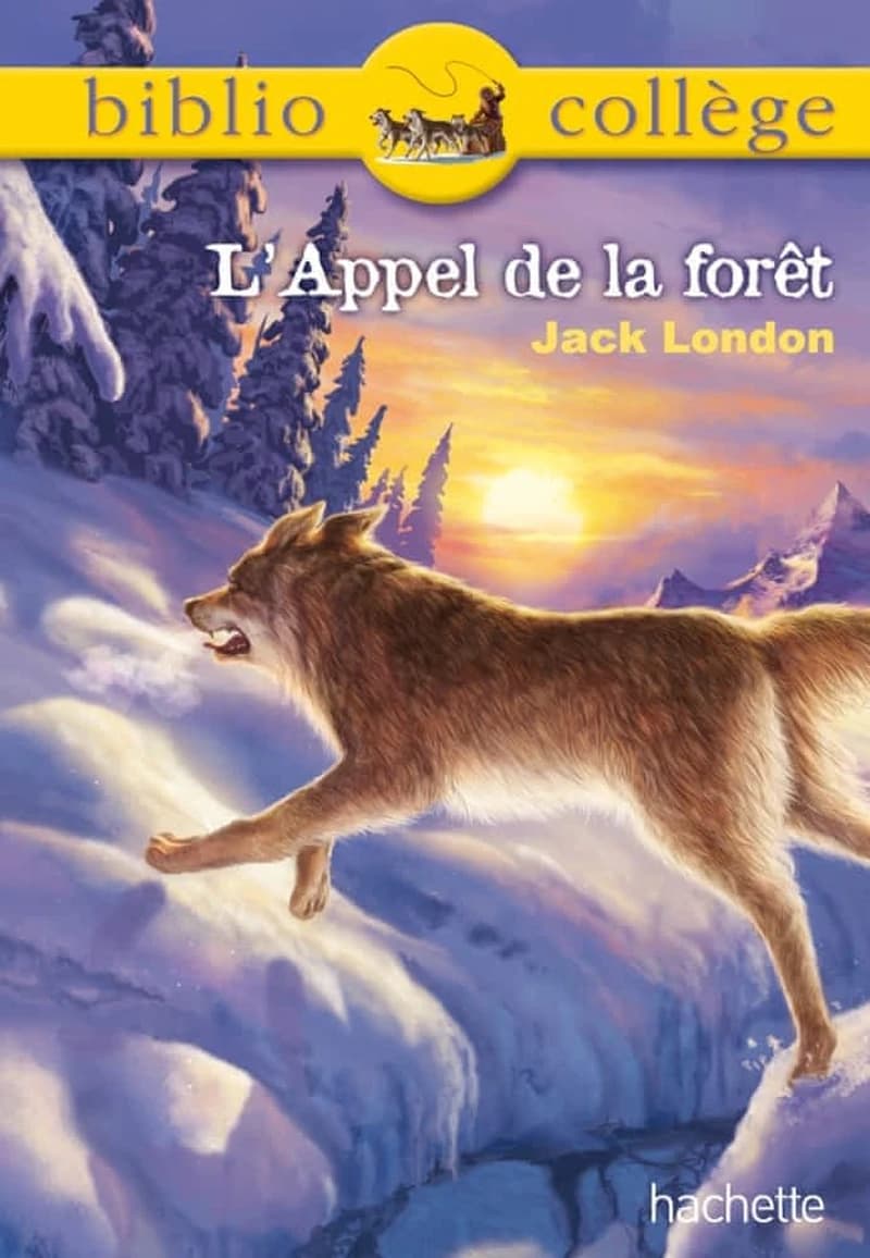 L'Appel de la forêt