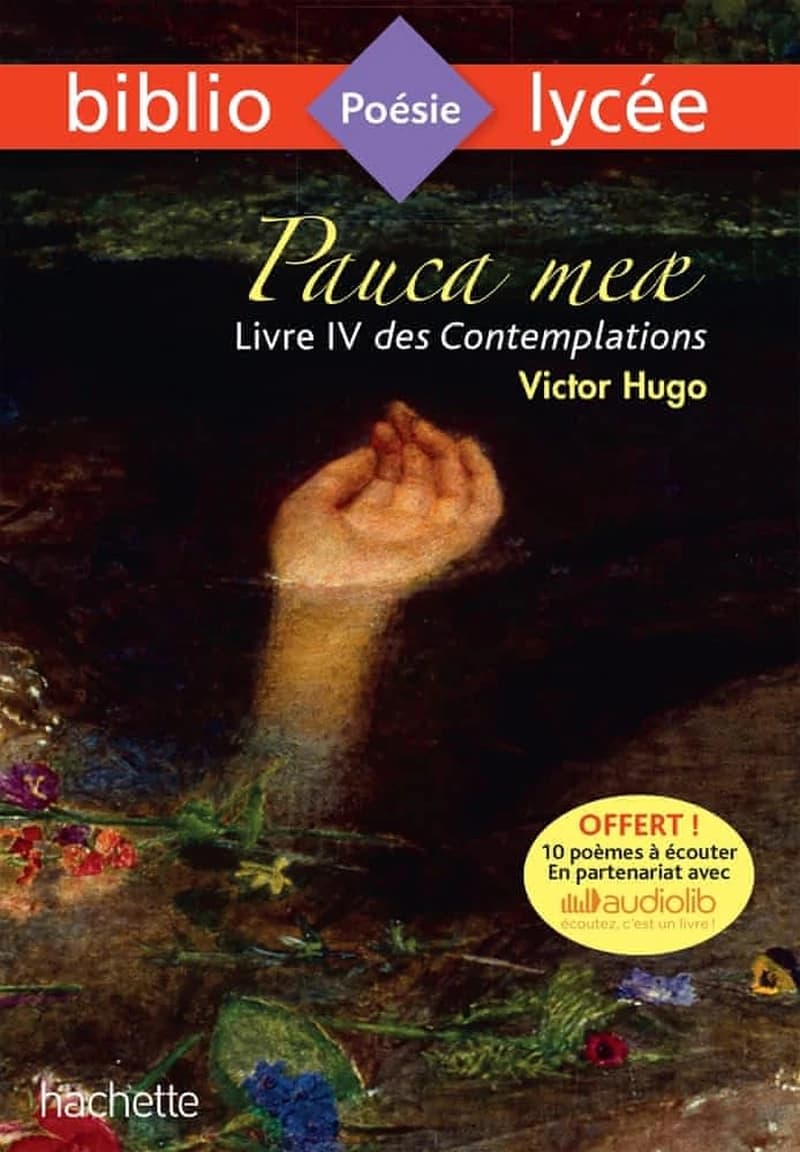 Pauca meae : livre IV des "Contemplations