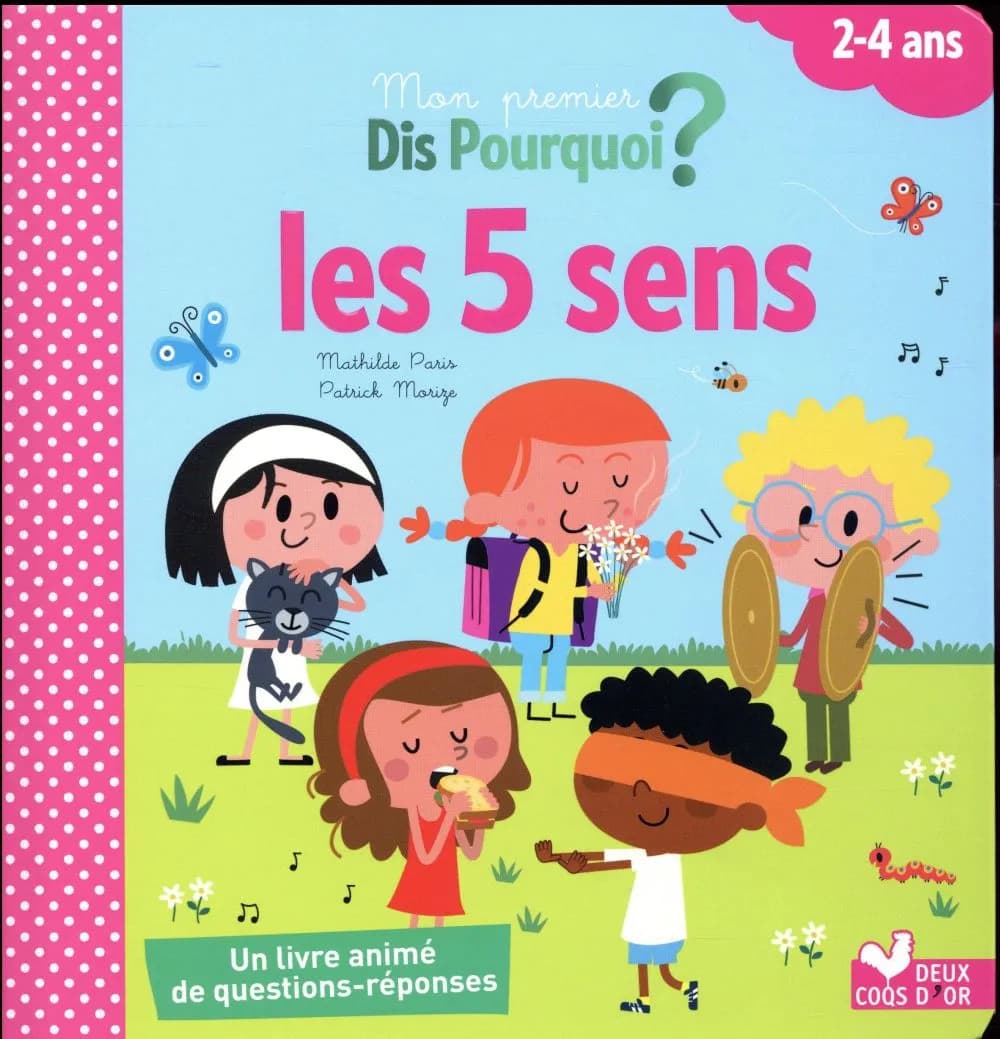 Les 5 sens
