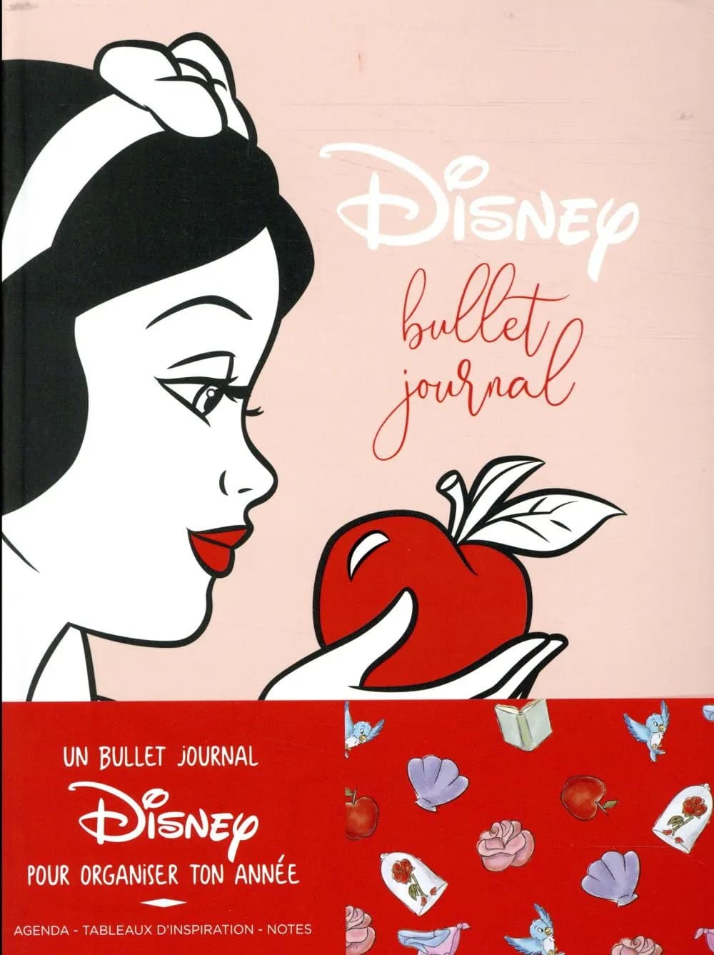 Bullet journal Disney