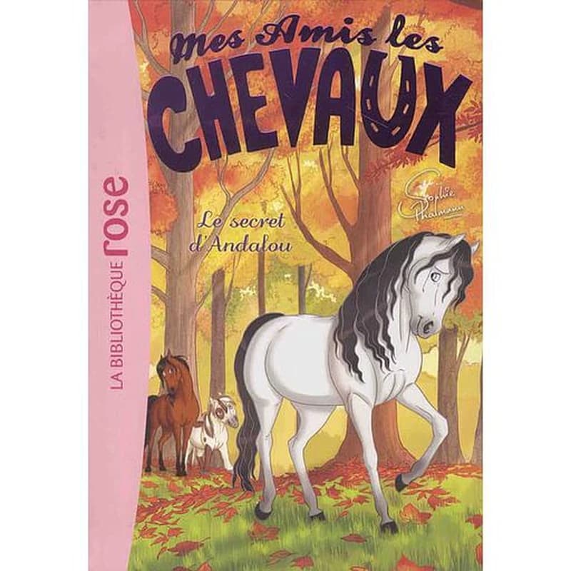 Le secret d'Andalou