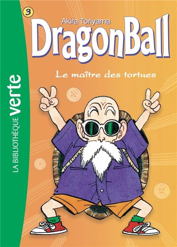 Le maître des tortues