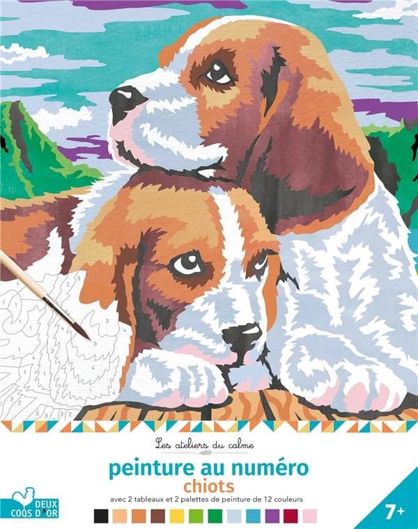 Peinture au numéro : chiots : 7 ans et plus : [Album à colorier]