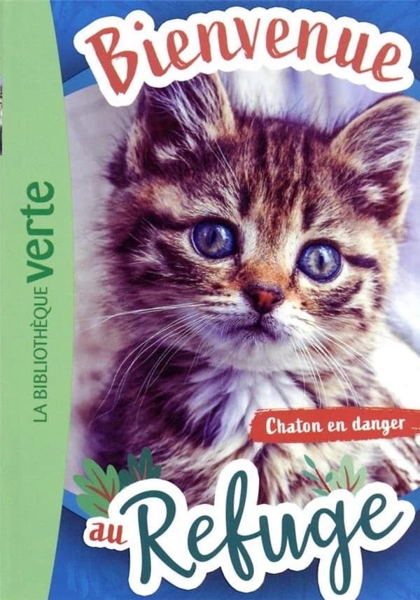 Chaton en danger