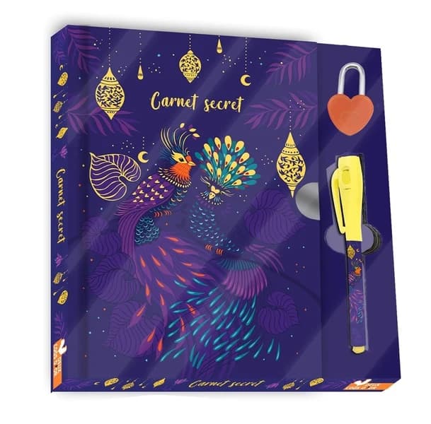 Carnet secret : Avec 1 stylo magique, 1 cadenas et 2 clés