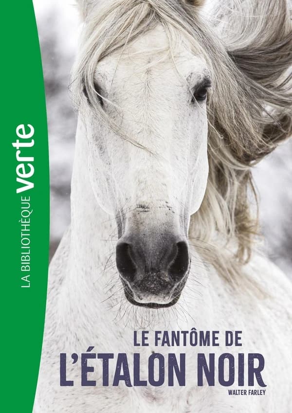 Le fantôme de l'étalon noir