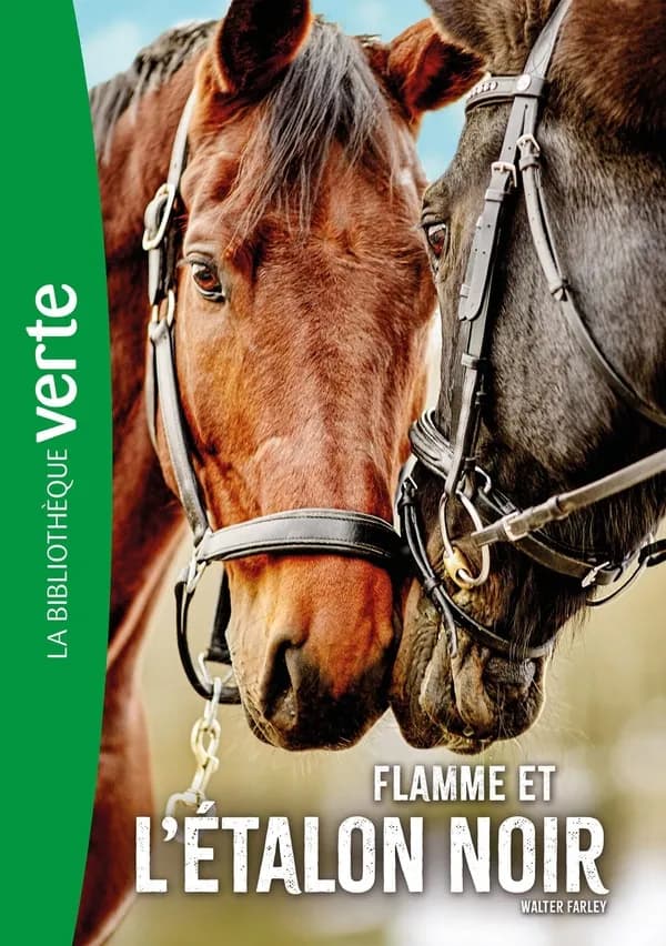 Flamme et l'étalon noir