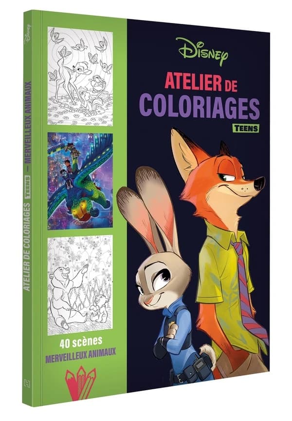 Atelier de coloriages teens : 40 scènes Merveilleux Animaux
