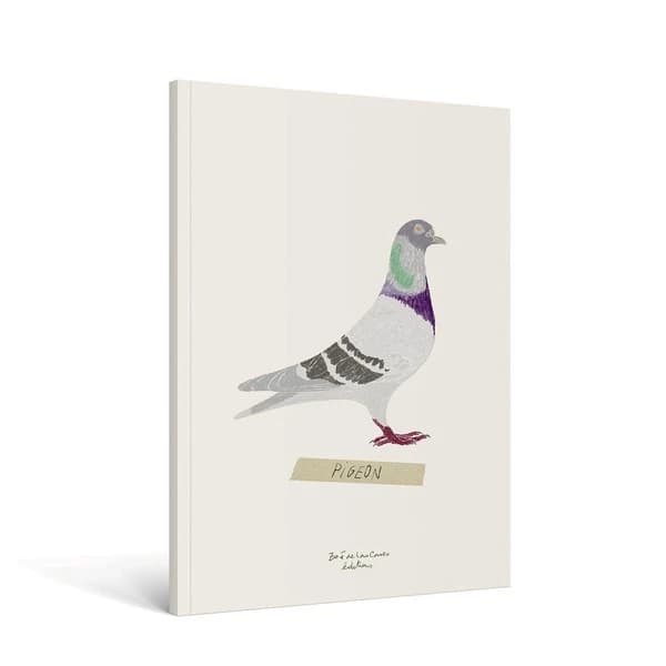 Carnet oiseau