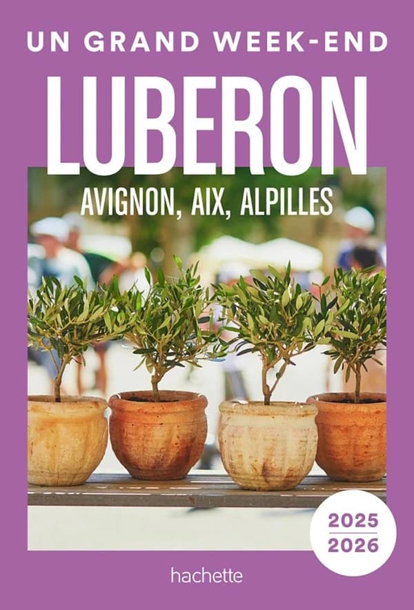 Luberon : Avignon, Aix, Alpilles (Éd. actualisée) [Peggy Dion, Natasha Penot]