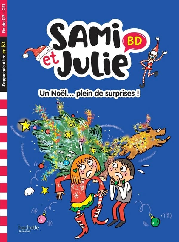 Un Noël, plein de surprises !