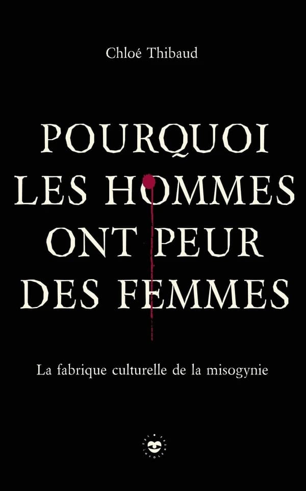 Pourquoi les hommes ont peur des femmes : La fabrique culturelle de la misogynie