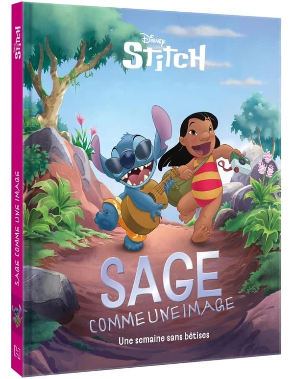 Sttitch sage comme une image