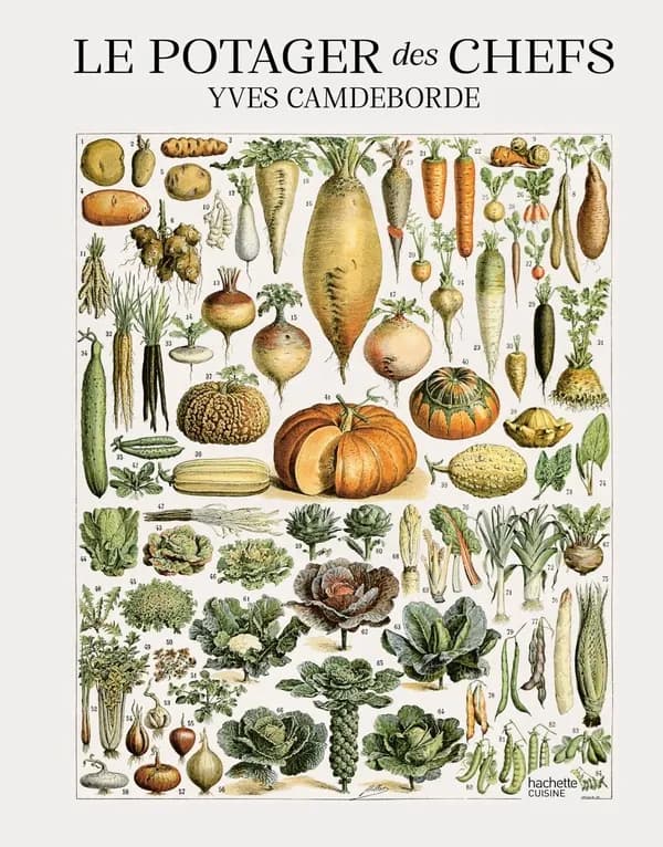 Le potager des chefs : et si l'avenir de la cuisine battait désormais au coeur du jardin ?