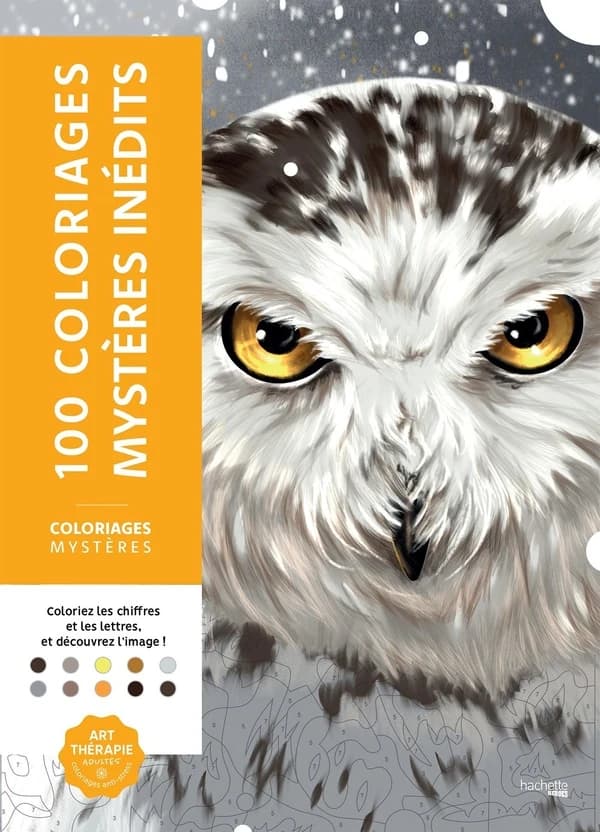 100 coloriages mystères inédits : coloriages mystères : coloriez les chiffres et les lettres, et découvrez l'image ! : [Album à colorier]