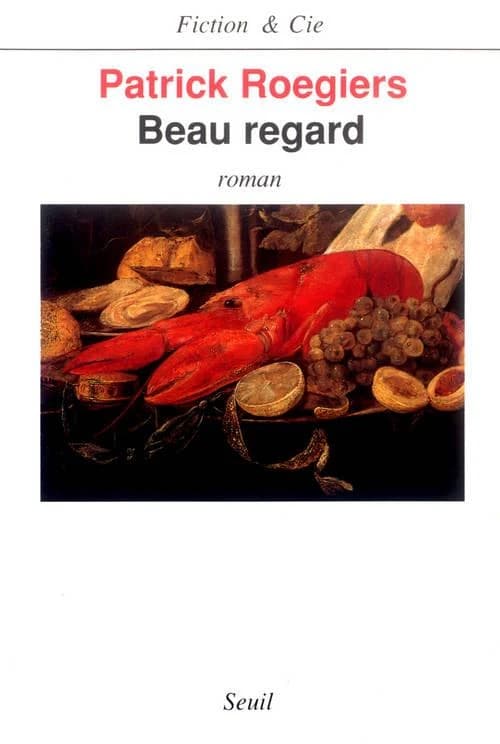 Beau regard : roman