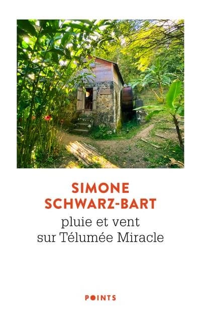 Pluie et vent sur Télumée Miracle : roman