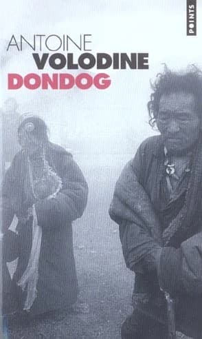 Dondog : roman