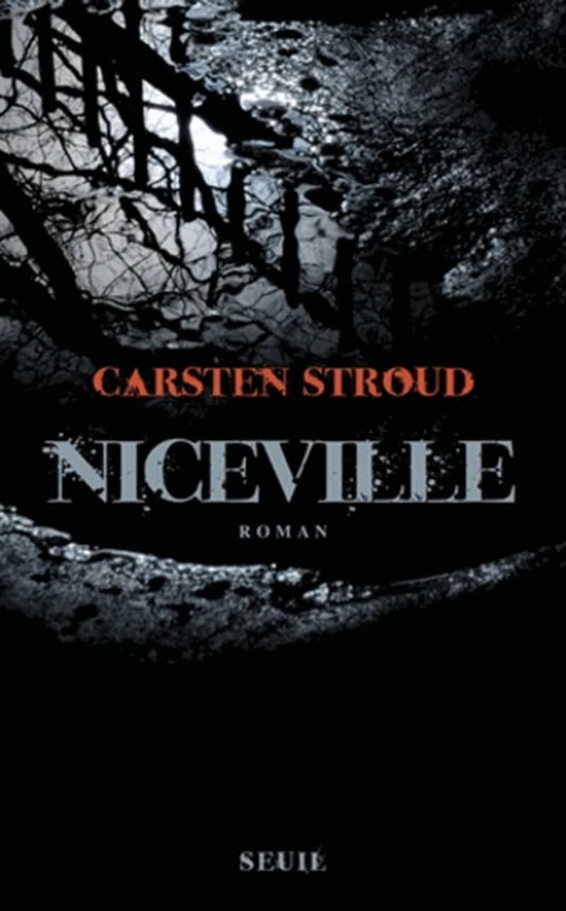 Niceville : roman