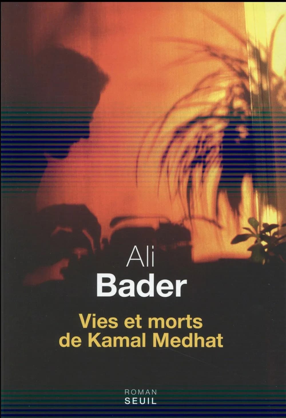 Vies et morts de Kamal Medhat : roman