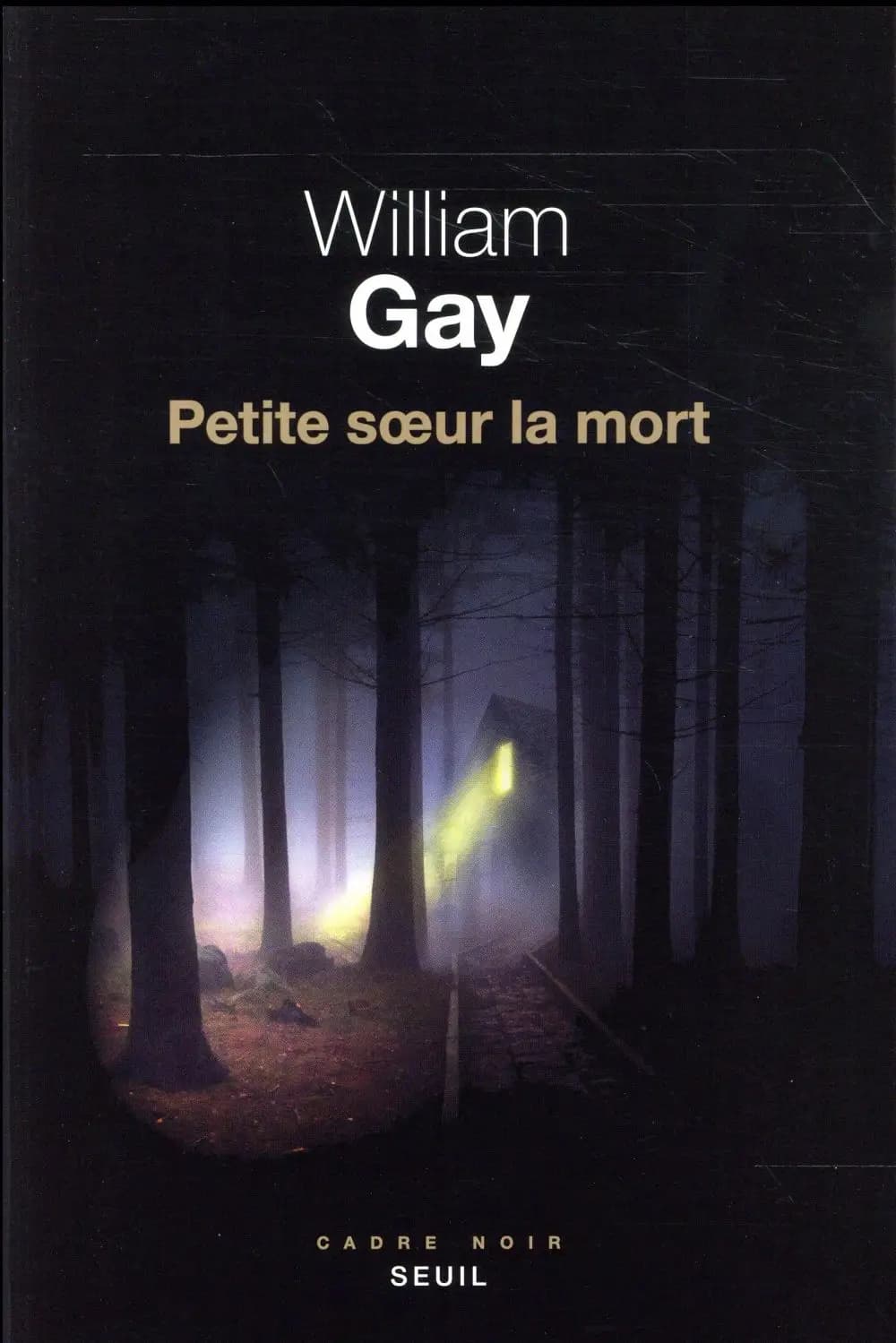 Petite soeur la mort : roman