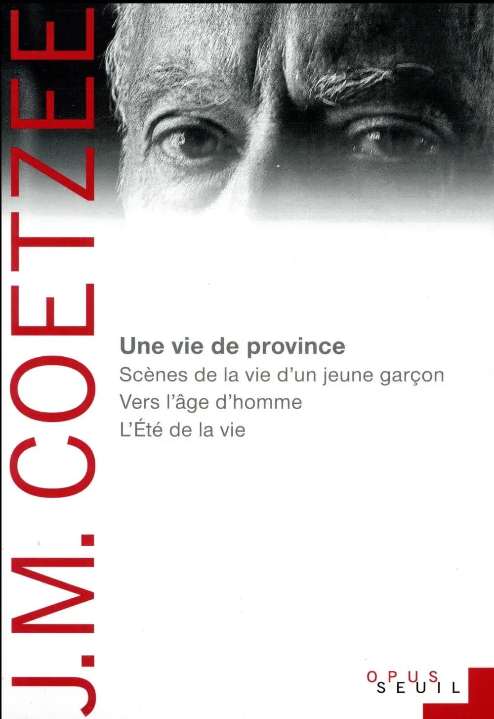 Une vie de province : Scènes de la vie d'un jeune garçon, Vers l'âge d'homme, LÉté de la vie